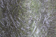 Filkins fibreglass roof work